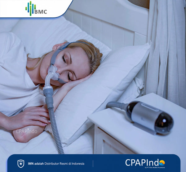 BMC P2H Nasal Pillow Mask