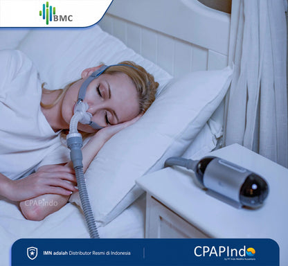 BMC P2H Nasal Pillow Mask